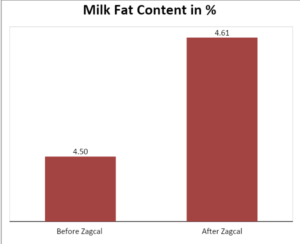 Milk Fat Content