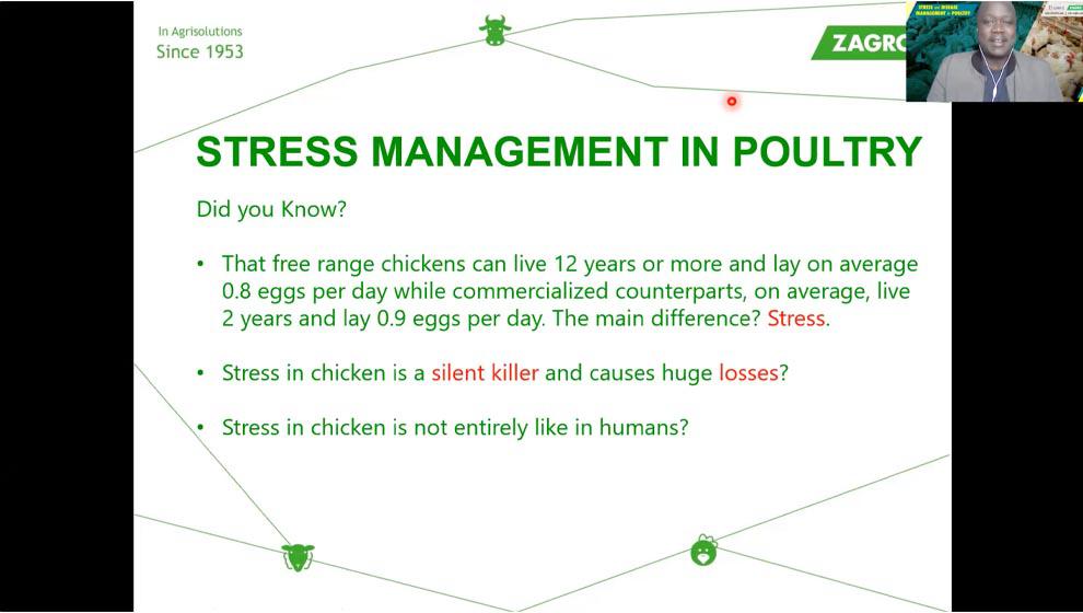 Stress and Disease Management