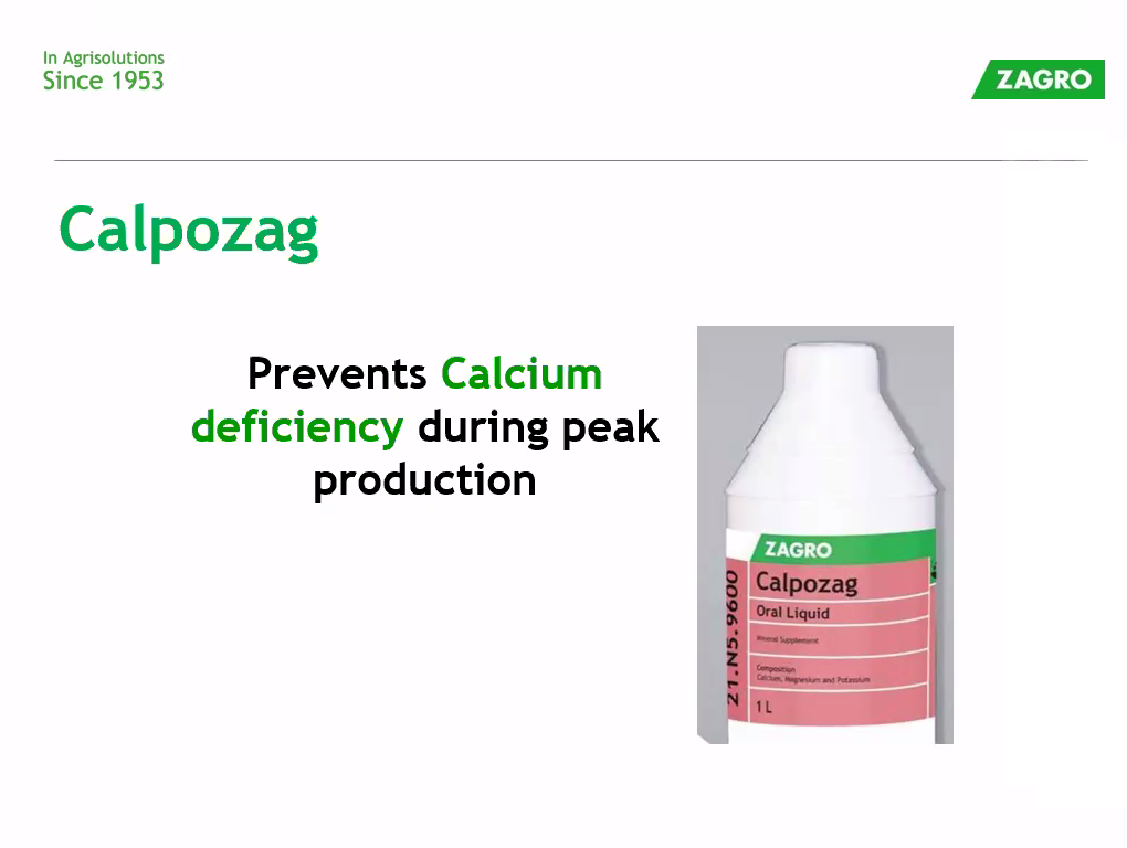 Calpozag and Zagrosol B-complex Webinar by PT ZAGRO Indonesia