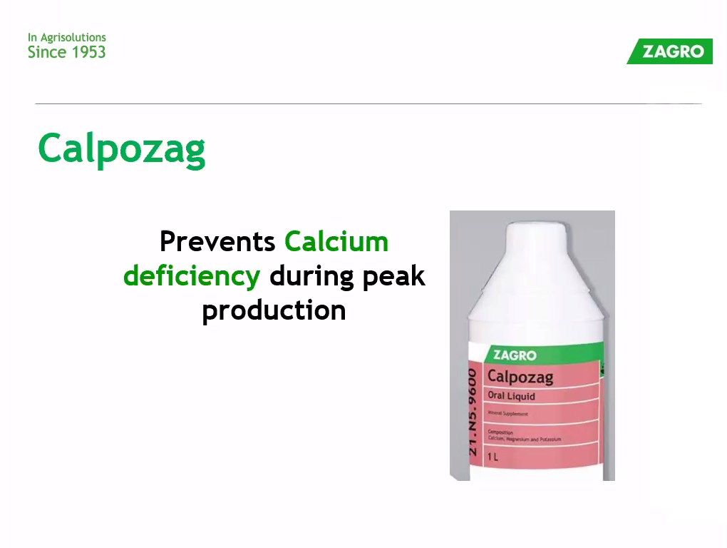 Calpozag and Zagrosol B-complex Webinar by PT Zagro Indonesia