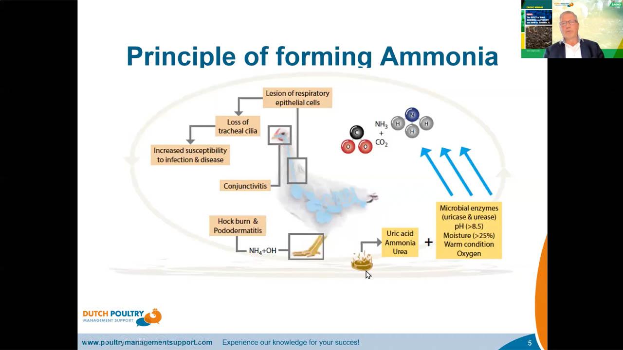 zagro-ammonia-webinar-4