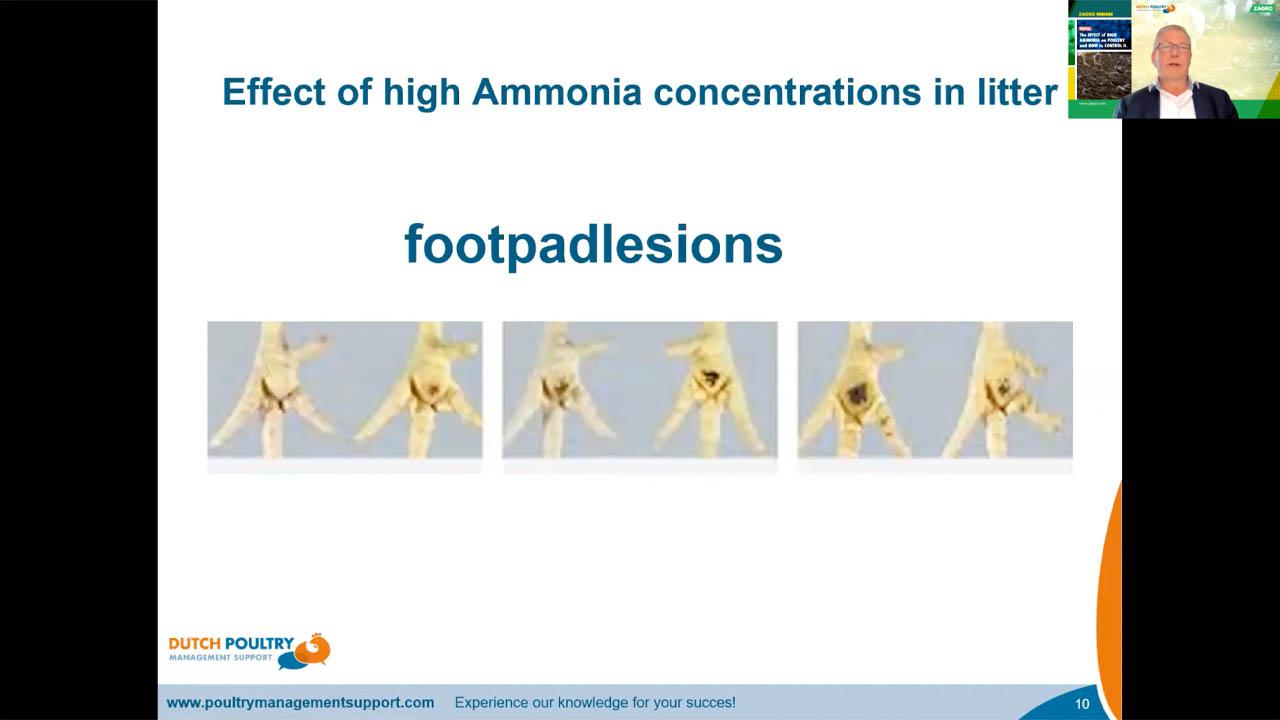 zagro-ammonia-webinar-5