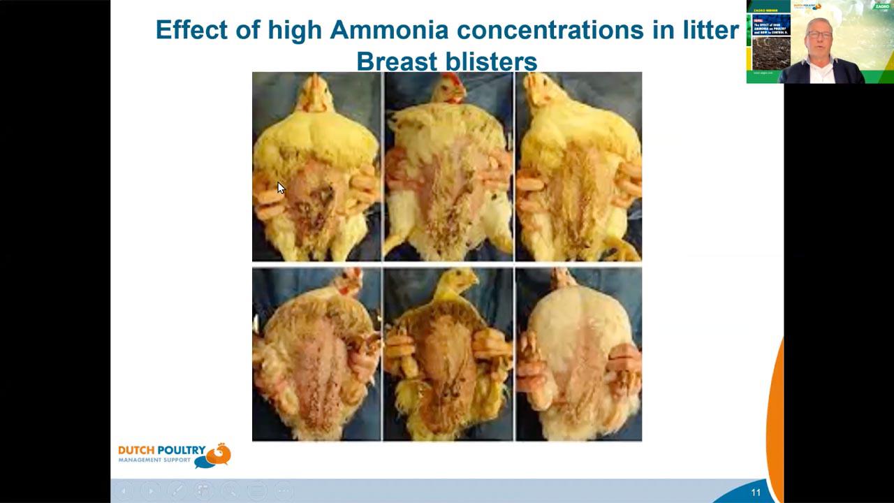 zagro-ammonia-webinar-6