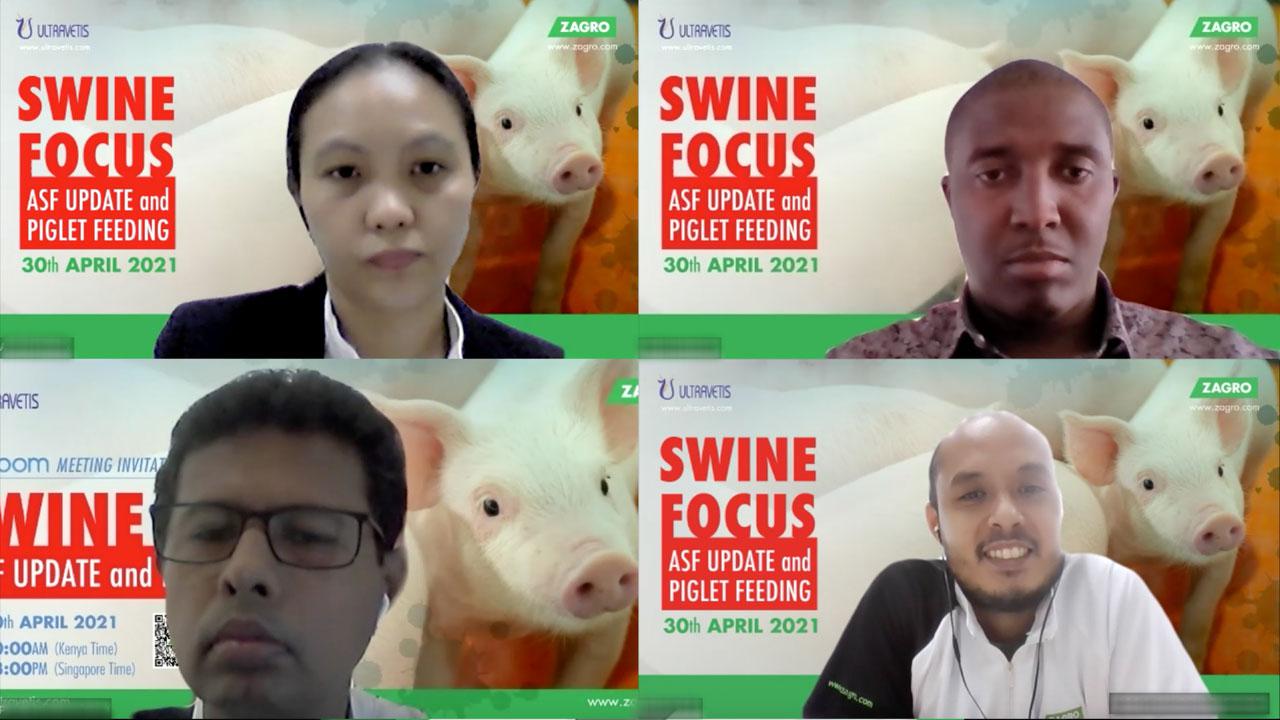 zagro-swine-focus-6