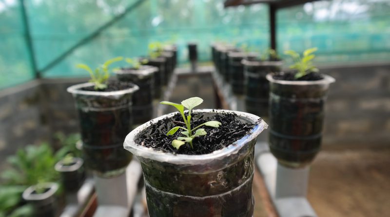 The Future of Local Farming